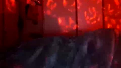 Daddett iS Wett online show from 12/18/25, 09:48