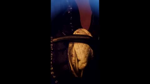 Daddett iS Wett online show from 03/17/26, 05:22