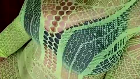 Daddett iS Wett online show from 03/31/26, 08:15