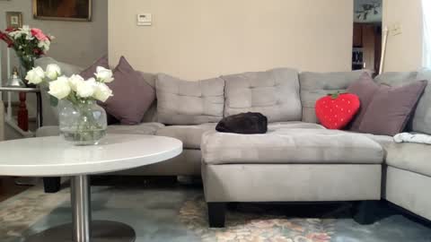 Belle  Email daddydaycarecb  online show from 02/22/26, 05:55