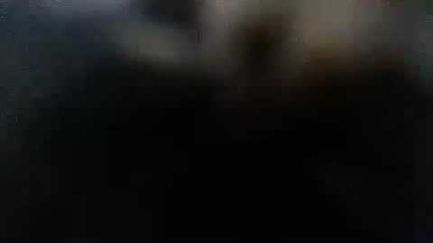 DDick online show from 10/12/25, 01:59