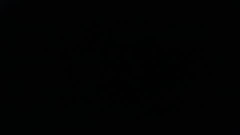 DDick online show from 11/16/25, 08:20