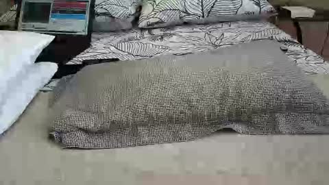 daddyslittleebony online show from 04/12/26, 11:26