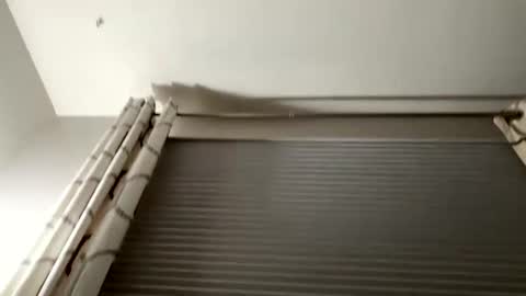 Snapshot of daddyweis chatting on 09/16/25, 02:23 daddyweis online show from 09/16/25, 02:23