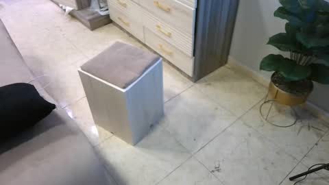 Deffa online show from 02/23/25, 08:49