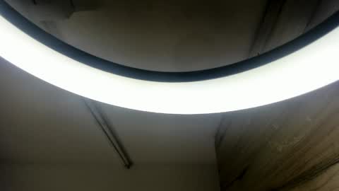 dafne_evaans online show from 05/19/26, 11:27