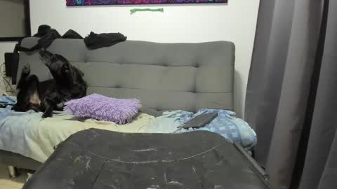 dahianna_27 online show from 01/17/25, 08:45