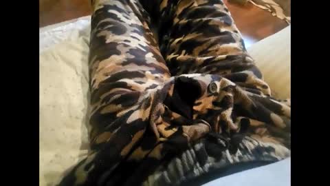 DailyJerker84 online show from 11/23/25, 05:46