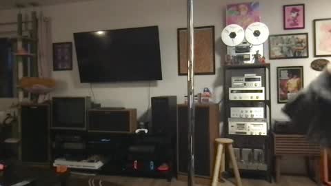 daisymynx online show from 04/06/26, 03:15