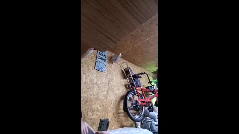 dave online show from 04/22/26, 10:22
