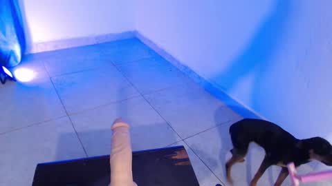 VALENTINA  online show from 11/16/25, 07:41