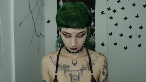 Snapshot of dakota_krall_ chatting on 12/07/24, 02:42 dakota online show from 12/07/24, 02:42