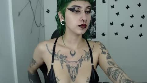 Snapshot of dakota_krall_ chatting on 12/15/24, 02:52 dakota online show from 12/15/24, 02:52