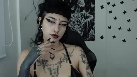 Snapshot of dakota_krall_ chatting on 01/29/25, 04:47 dakota online show from 01/29/25, 04:47