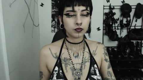 Snapshot of dakota_krall_ chatting on 11/12/25, 02:12 dakota online show from 11/12/25, 02:12