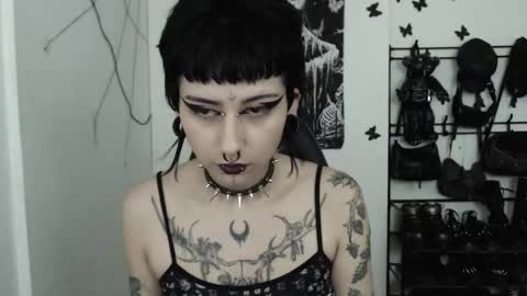 Snapshot of dakota_krall_ chatting on 11/22/25, 04:33 dakota online show from 11/22/25, 04:33