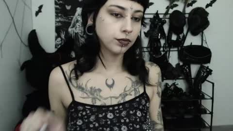 dakota online show from 05/15/26, 02:40