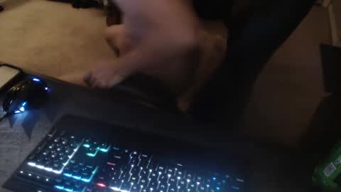 Dakota online show from 09/14/25, 11:53