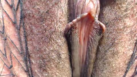 Dakota online show from 04/24/26, 05:48