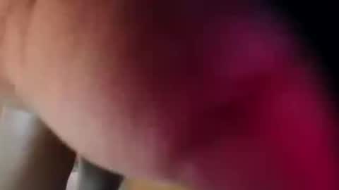 dakotaholand online show from 12/05/25, 06:33