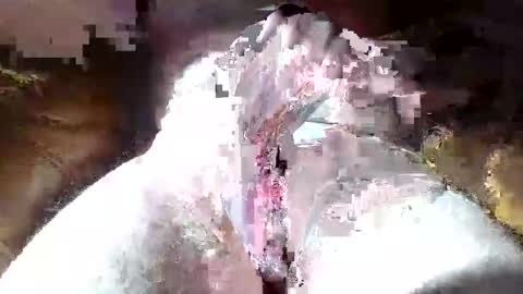 dalamud48 online show from 03/27/26, 09:21
