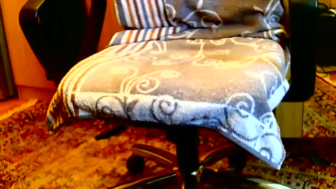 Dammerl online show from 01/15/25, 08:20