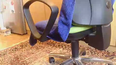 Snapshot of dammerl6 chatting on 02/18/25, 06:59 Dammerl online show from 02/18/25, 06:59