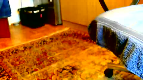 Snapshot of dammerl6 chatting on 12/02/25, 01:17 Dammerl online show from 12/02/25, 01:17