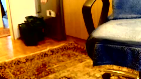 Dammerl online show from 04/06/26, 05:36