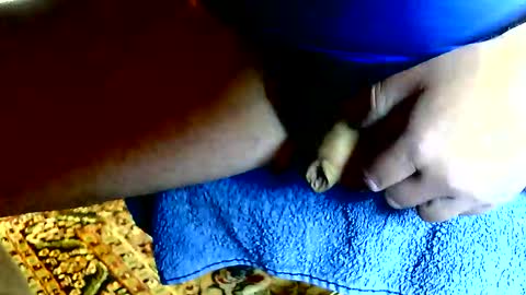 Dammerl online show from 04/24/26, 11:34