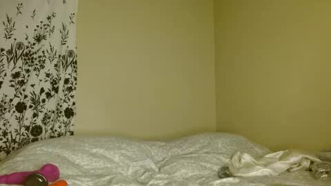 Nova online show from 04/08/26, 07:41