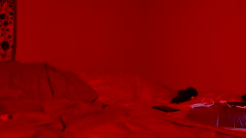 Nova online show from 04/11/26, 08:18