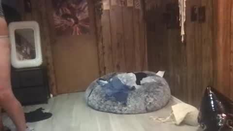 DanaMaris666 online show from 09/25/25, 07:28