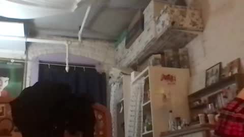 Your submissive patient online show from 12/04/24, 08:12