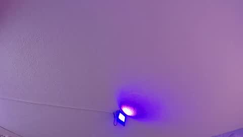 Snapshot of danee_19 chatting on 03/11/25, 10:51 Daniela online show from 03/11/25, 10:51