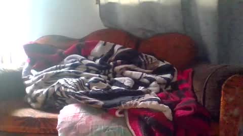 dani9821569006 online show from 03/25/26, 05:08