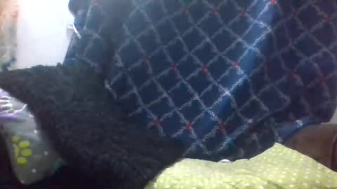 dani9821569006 online show from 03/29/26, 08:03