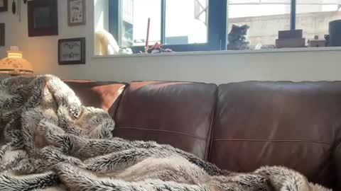 Daniel Bishop  Mason online show from 03/01/26, 08:00