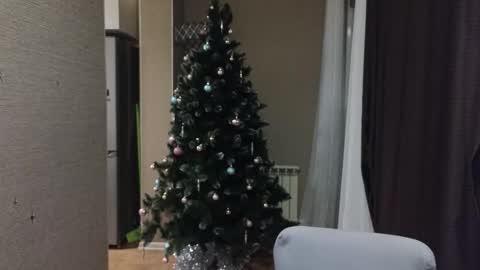 danila online show from 01/18/26, 05:06