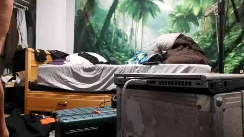 danimal5000 online show from 09/17/25, 03:19