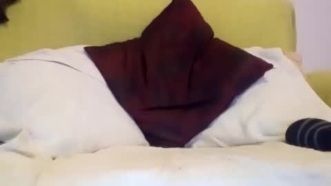 Snapshot of daniroca8 chatting on 02/17/26, 06:36 daniroca8 online show from 02/17/26, 06:36