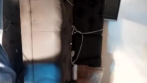 dandeb online show from 09/15/25, 06:19