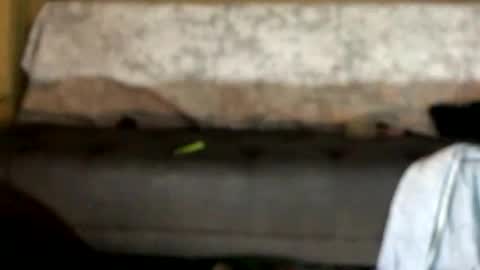 dandeb online show from 10/12/25, 01:04