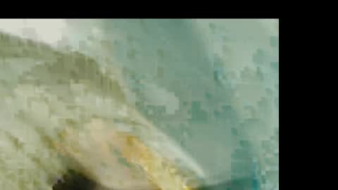 Snapshot of dankshepp chatting on 01/19/26, 01:26 dandeb online show from 01/19/26, 01:26