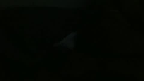 Dee online show from 12/24/24, 12:00