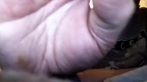 Snapshot of dannowisc chatting on 02/01/26, 12:37 dannowisc online show from 02/01/26, 12:37