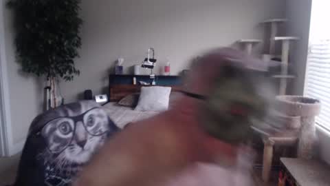 Danny bear online show from 12/22/24, 03:00