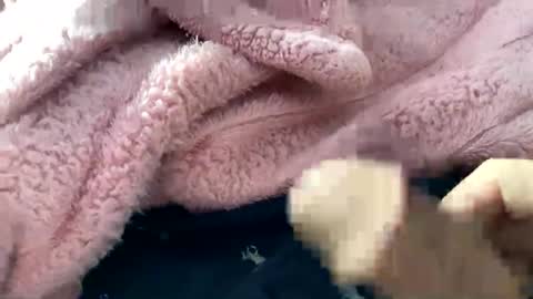 dannyboy621 online show from 11/10/25, 02:16