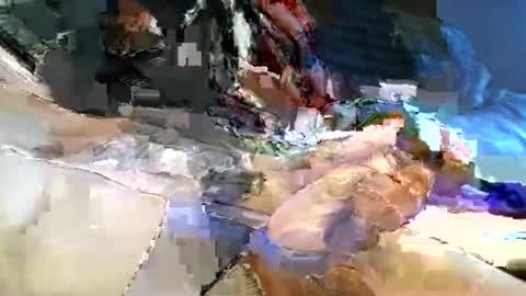 dannytabb1 online show from 11/11/25, 05:40