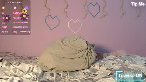 dante_bear online show from 02/13/26, 11:17